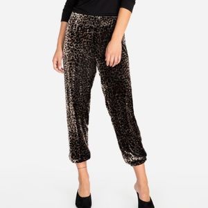 Johnny Was Leopard Velvet Jogger
